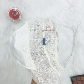 [FORM RỘNG] Quần lót ren lưới mềm mịn không viền size L, LL, 3L Châu Âu - QLRL0002