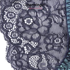 Quần lót ren lưng co giãn thời trang size M - QLRL0007