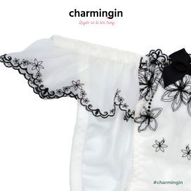 Quần lót dệt kim thời trang cao cấp lưng co giãn size M-L - QLDK0003