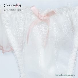 [FORM RỘNG] Quần lót T-back (lọt khe) lưng voan co giãn cùng ren hoa dễ thương size M, L - QLTB0017