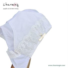 Quần lót ren thun 4 chiều dễ thương lưng bản to size LL - QLTT0003