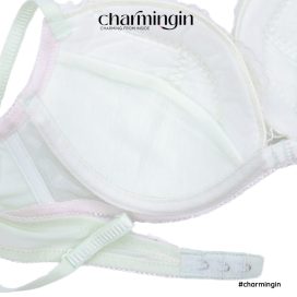 Áo lót ren hoa cao cấp sexy quyến rũ size B75, C75 - AL0001