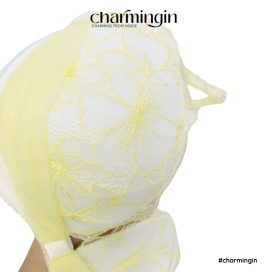 Áo lót ren hoa cao cấp sexy quyến rũ size B75, C75 - AL0001